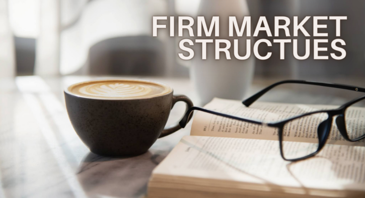 FIRM MARKET STRUCTUES - todaypassion