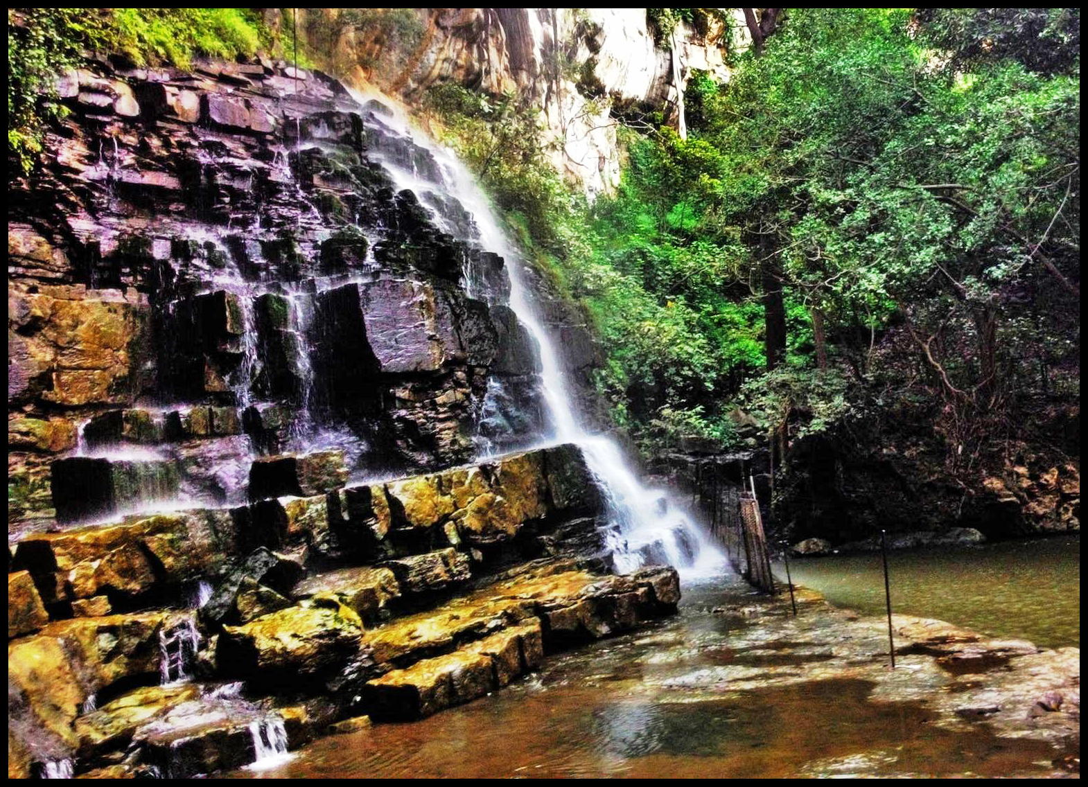 Nallamala Forest And Hills | Srisailam | Nandyal Distric