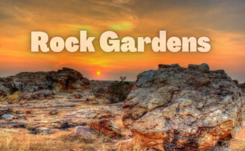Rock Gardens - todaypassion