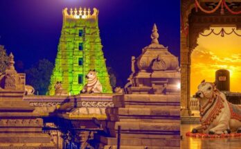Srisailam Temple Travel Guide Darshan Timings, Route, Ropeway, and History