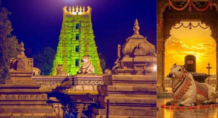 Srisailam Temple Travel Guide Darshan Timings, Route, Ropeway, and History
